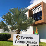 Posada Palma Dorada - Morrocoy